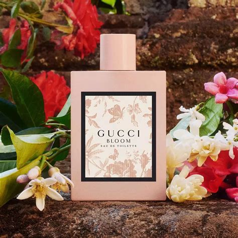 description gucci bloom|gucci bloom smell.